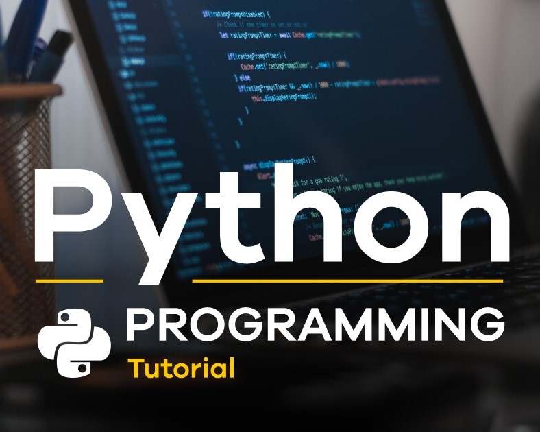 Python Programming for Beginners